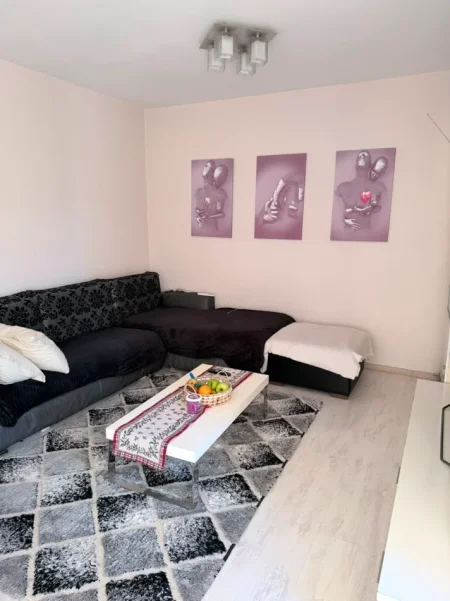 Tirane, jepet me qera apartament 1+1 Kati 8, 630 € (Materniteti i Ri)