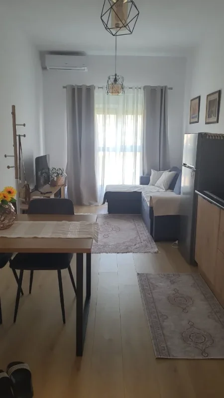 Tirane, jepet me qera apartament 1+1 , 55 m² 400 € (Ali Demi)