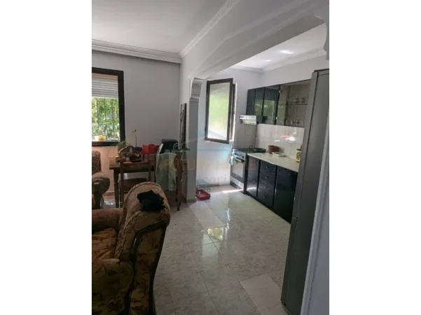 Tirane, shitet apartament 1+1+Aneks+Ballkon Kati 1, 57 m² 120.000 € (Ali Demi)