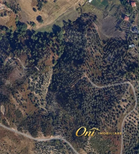 Tirane, shitet toke , 12.000 m² 1.200.000 € (MJULL-BATHORE)