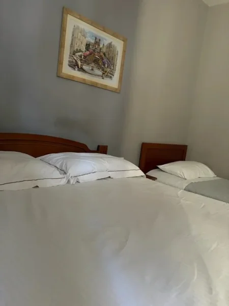 Tirane, jepet me qera apartament Studio Kati 1, 30 m² 300 € (Selvia)