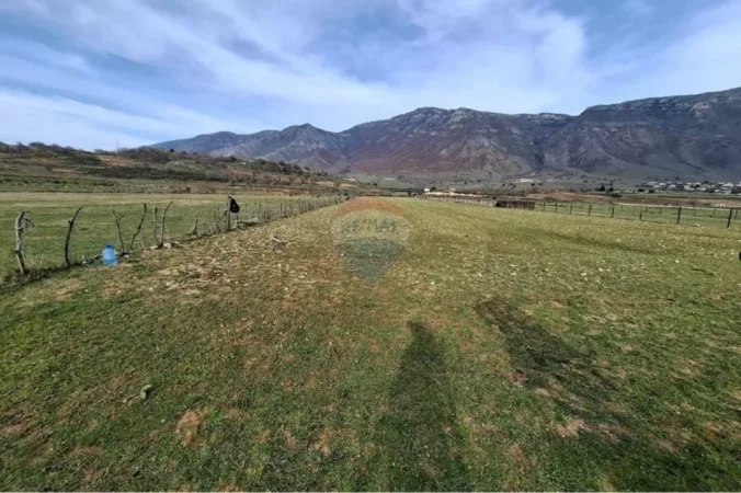 Radhime - Orikum, shitet toke bujqesore , 14.000 m² (Tragjas, Vlore)