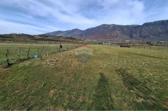 Radhime - Orikum, shitet toke bujqesore , 14.000 m² (Tragjas, Vlore)