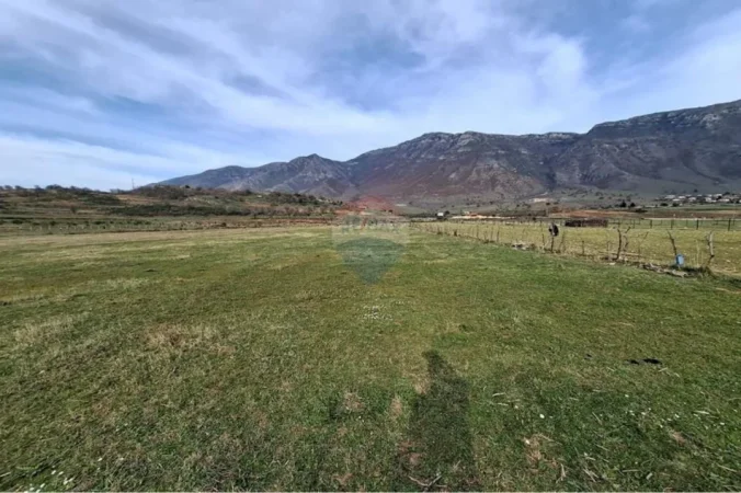 Radhime - Orikum, shitet toke bujqesore , 14.000 m² (Tragjas, Vlore)