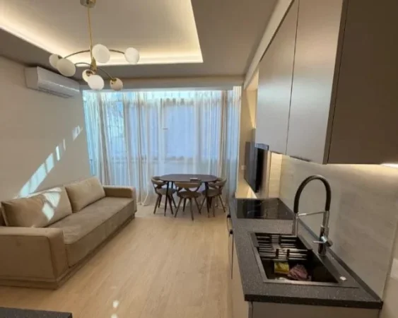 Tirane, jepet me qera apartament 1+1+Aneks+Ballkon Kati 2, 50 m² 600 € (rruga ali demi , ish tregu elektrik)