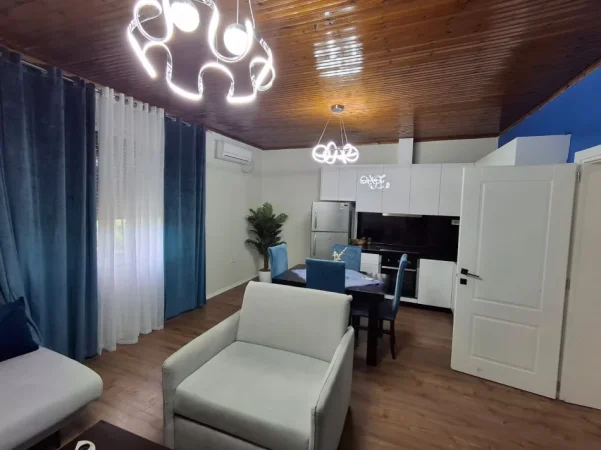 Tirane, jap me qera apartament 1+1 Kati 6, 60 m² 550 € (Shallvaret)