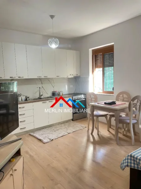 Tirane, jepet me qera apartament 2+1+Ballkon Kati 1, 58 m² 530 € (RRUGA ILIA DILO SHEPERI,SELITE)