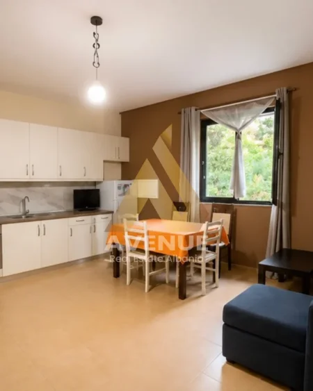 Tirane, jepet me qera apartament 2+1+Ballkon Kati 1, 90 m² 450 € (Rruga Bill Klinton)