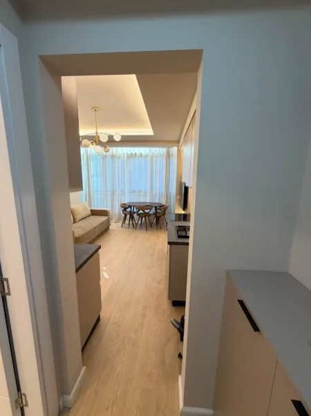 Tirane, jepet me qera apartament 1+1+Ballkon Kati 2, 55 m² 500 € (Materniteti i ri)