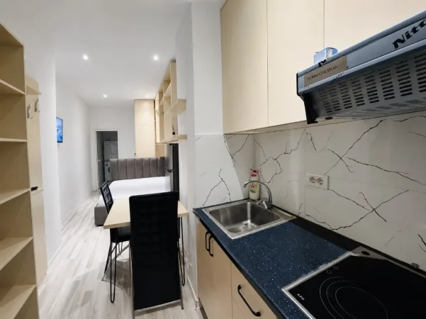 Tirane, jepet me qera garsonier Kati 0, 450 € (Qender , sheshi skenderbej)