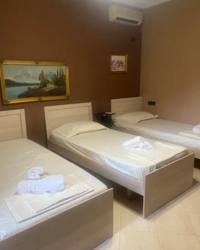 Tirane, jepet me qera apartament 1+1+Aneks+Ballkon Kati 1, 80 m² 500 € (rruga bardhyl)