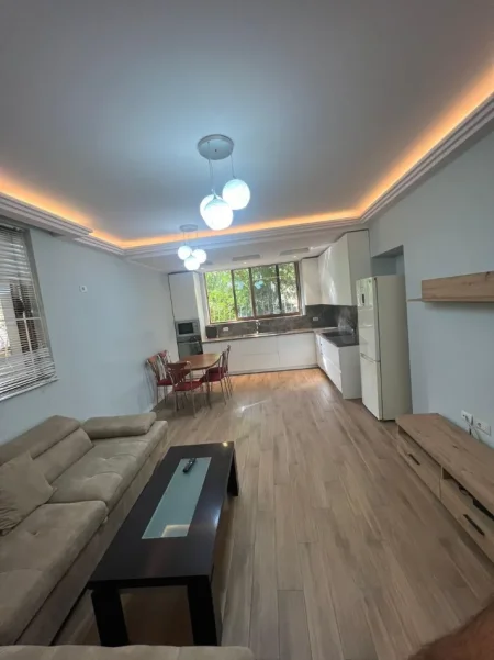 Tirane, Apartament 1+1 + PARKIM ME QIRA   (ISH PARKU) 60.000 LEKE