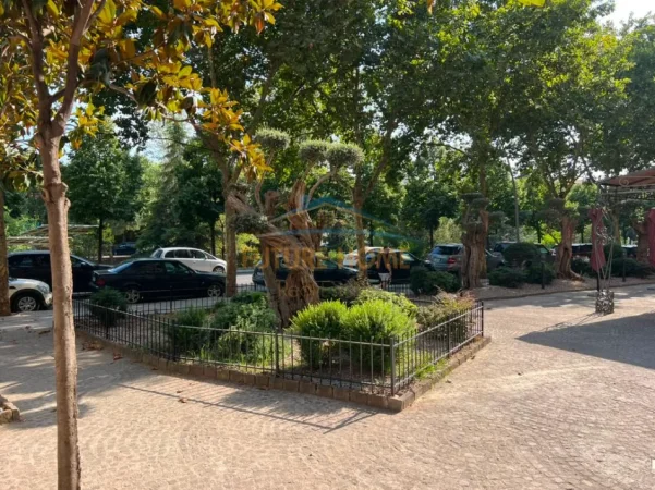 Tirane, shitet ambjent biznesi Kati 0, 46 m² 120.000 € 