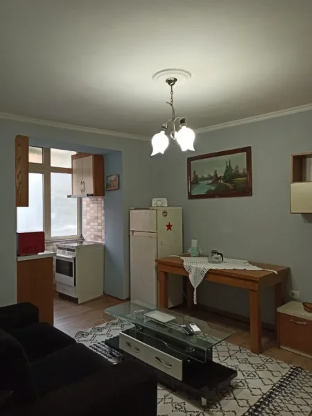 Tirane, jepet me qera apartament 1+1 Kati 2, 60 m² 500 € (21 Dhjetori)