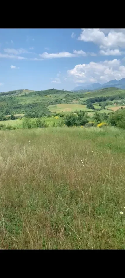 Tirane, shitet toke bujqesore , 3.680 m²