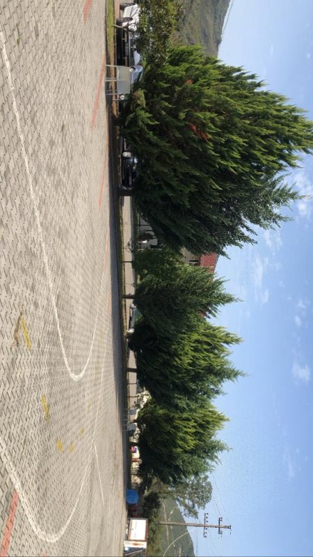 Tirane, shitet bar-resorant Kati 3, 6.000 m² 2.500.000 Euro (Rr SH 56)