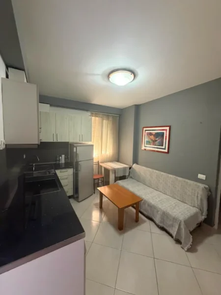 Tirane, jepet me qera apartament 1+1 Kati 1, 45 m² 430 € (Rruga Fortuzi)