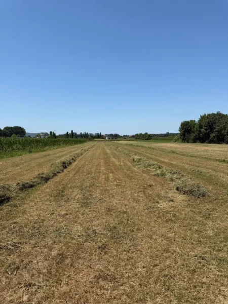 Durres, shitet toke , 4.000 m² 100.000 € 