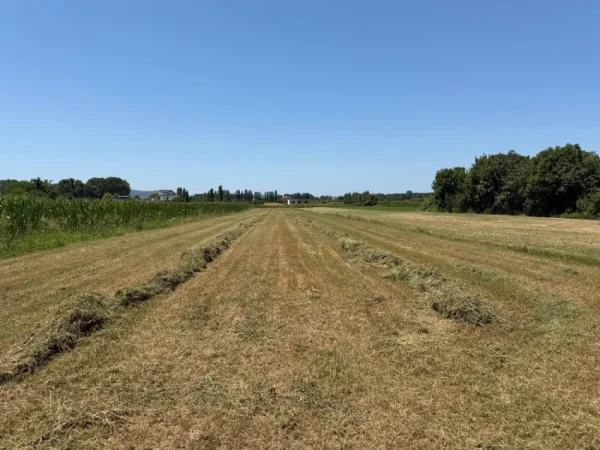 Durres, shitet toke , 4.000 m² 100.000 € 