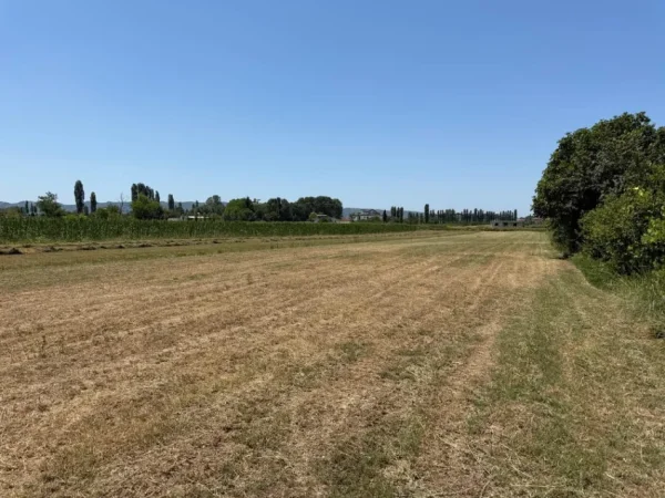 Durres, shitet toke , 4.000 m² 100.000 € 