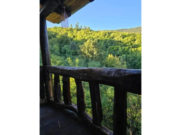 Tirane, shitet hotel Kati 0, 13.012 m² (Petrele)