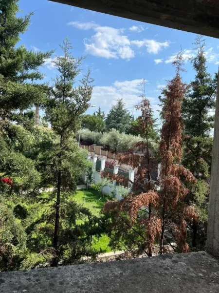 Tirane, shitet apartament 3+1 Kati 1, 577 m² 677.000 € (Rruga Dalip Topi)