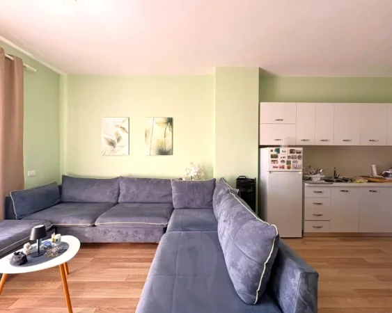 Tirane, jepet me qera apartament 1+1 Kati 3, 70 m² 700 € (Rruga Luigj Gurakuqi)