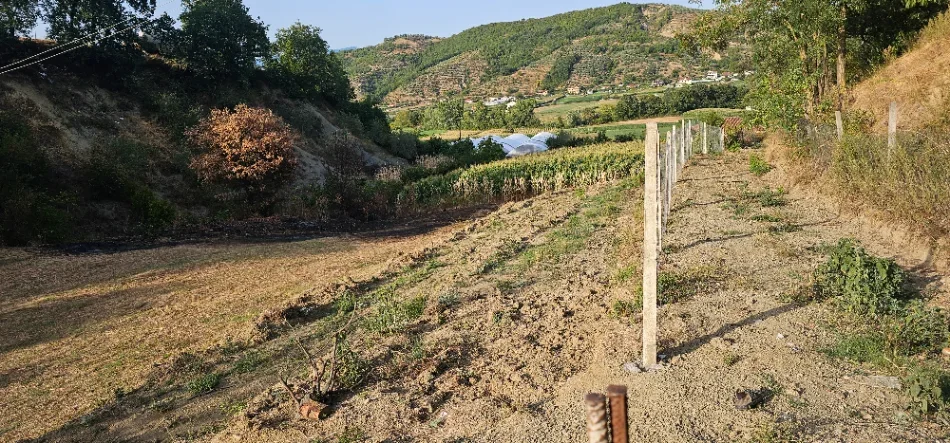 Tirane, shitet toke , 1.500 m² 40.milion (Baldushk)