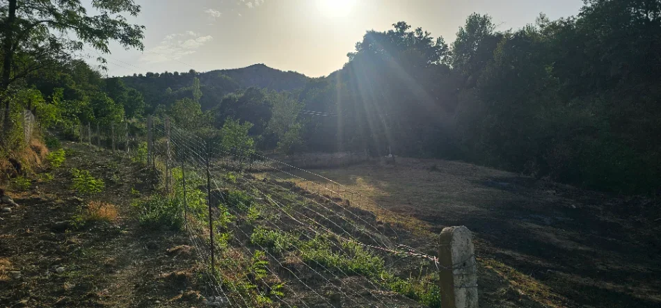 Tirane, shitet toke , 1.500 m² 40.milion (Baldushk)