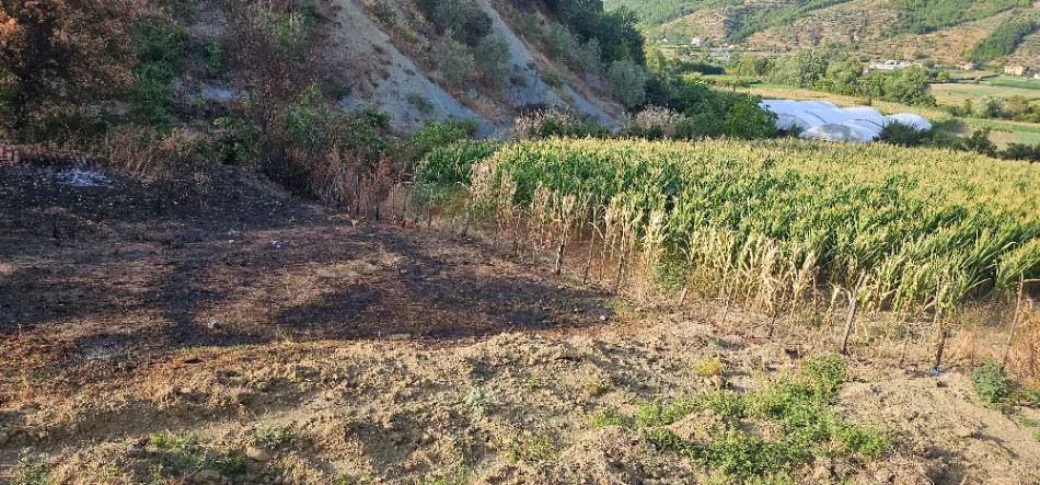 Tirane, shitet toke , 1.500 m² 40.milion (Baldushk)