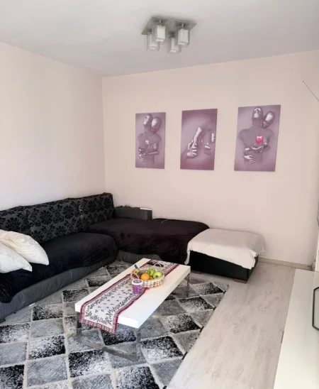 Tirane, jepet me qera apartament 1+1 Kati 8, 78 m² 550 € (Materniteti i Ri)