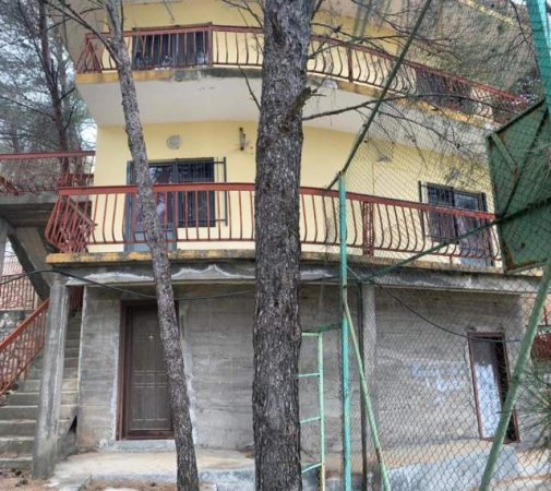 Shengjin, shitet Vile 2 Katshe Kati 4, 660 m² 415.000 Euro (Rruga Shkreli 21)