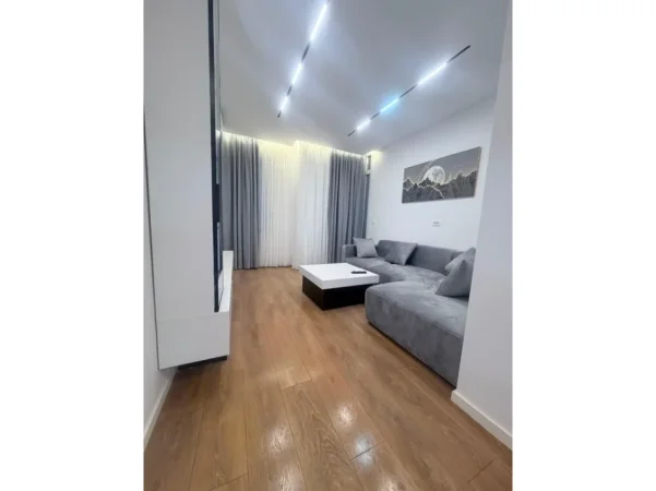 Tirane, jepet me qera apartament 1+1 Kati 2, 55 m² 700 € (Inxhinieria, Japim me qira apartament 1+1)