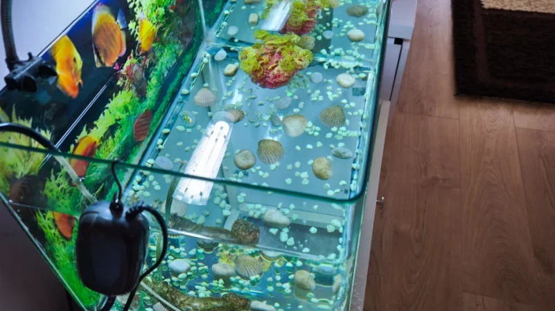 Tirane, okazion Akuarium në shitje 120 €