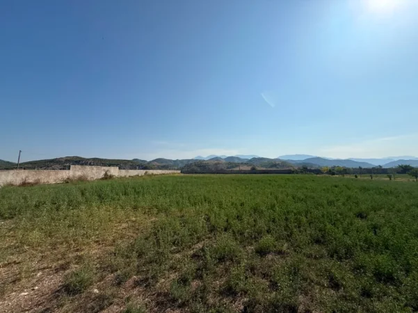 Tirane, shitet truall , 15.000 m² (Ne Fshatin Arbane)