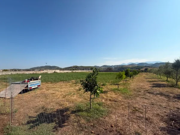 Tirane, shitet truall , 15.000 m² (Ne Fshatin Arbane)