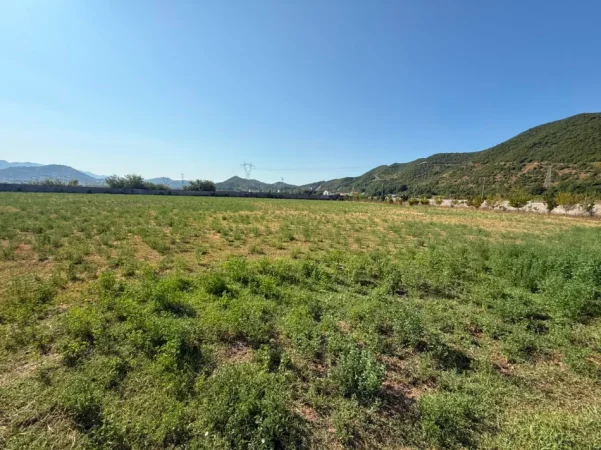 Tirane, shitet truall , 15.000 m² (Ne Fshatin Arbane)