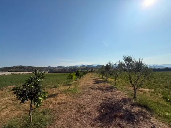 Tirane, shitet truall , 15.000 m² (Ne Fshatin Arbane)