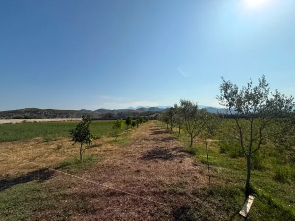 Tirane, shitet truall , 15.000 m² (Ne Fshatin Arbane)