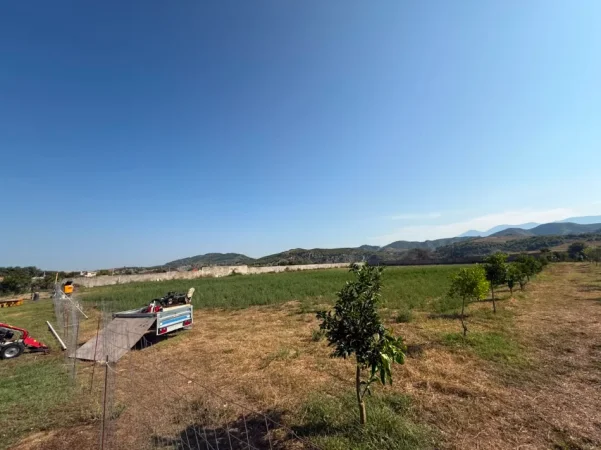 Tirane, shitet truall , 15.000 m² (Ne Fshatin Arbane)