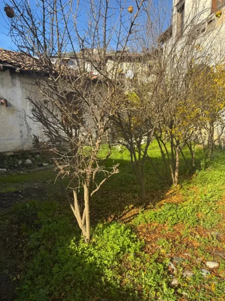 Berat, shitet Vile Vile 2 Katshe Kati 2, 440 m² 300.000 € (Rr. Petrit Lulo (mbrapa muzeut) ose Conad-it (ish-Markata).)