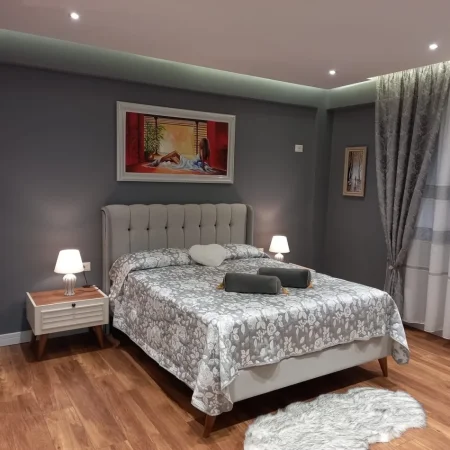 Tirane, jepet me qera apartament 1+1 Kati 4, 70 m² 650 € (Blloku)