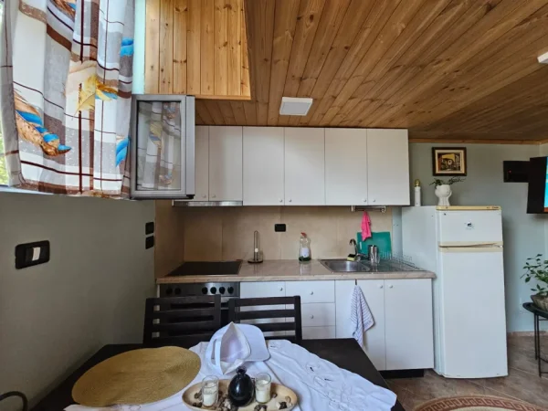 Tirane, jepet me qera apartament duplex 1+1 Kati 0, 40 m² 400 € (Selite)