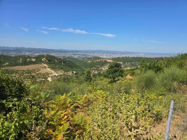 Tirane, shitet toke , 1.000 m² 161.000 € (Priske e Madhe, Dajt)