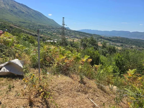 Tirane, shitet toke , 1.000 m² 161.000 € (Priske e Madhe, Dajt)