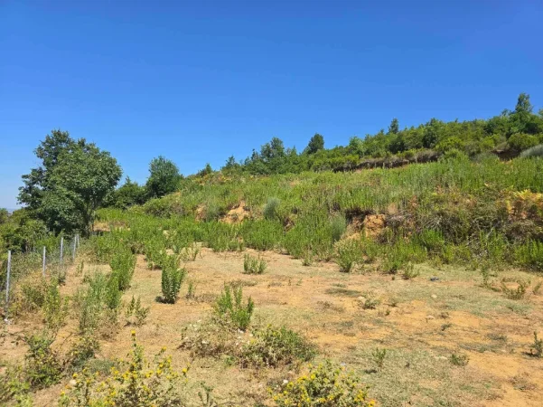 Tirane, shitet toke , 1.000 m² 161.000 € (Priske e Madhe, Dajt)
