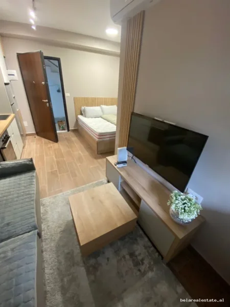 Tirane, jepet me qera garsonier Studio Kati 0, 22 m² 480 € (Vasil Shanto)