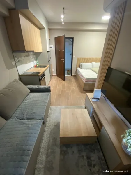 Tirane, jepet me qera garsonier Studio Kati 0, 22 m² 480 € (Vasil Shanto)