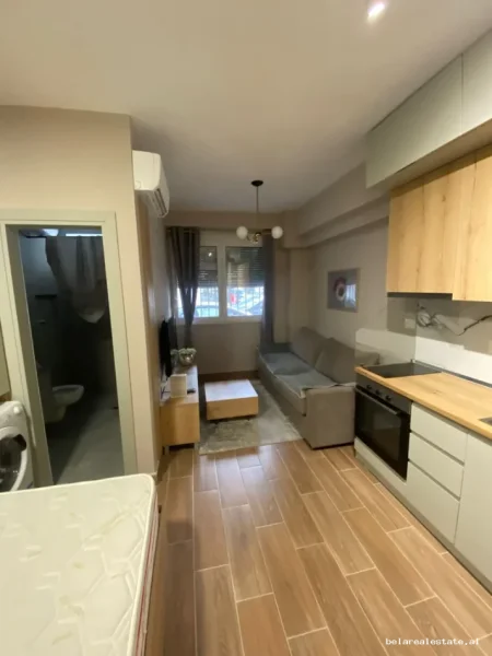 Tirane, jepet me qera garsonier Studio Kati 0, 22 m² 480 € (Vasil Shanto)