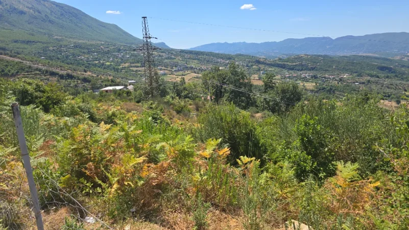 Tirane, shitet toke , 1.000 m² 161.000 € (Priske e Madhe, Dajt)